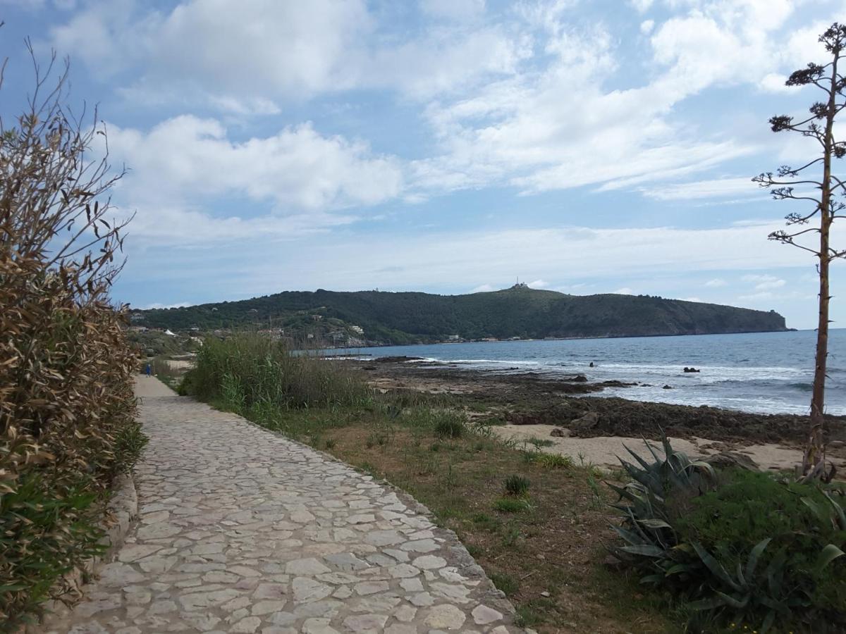 Mansarda Fiorita Bed & Breakfast Abatemarco ภายนอก รูปภาพ