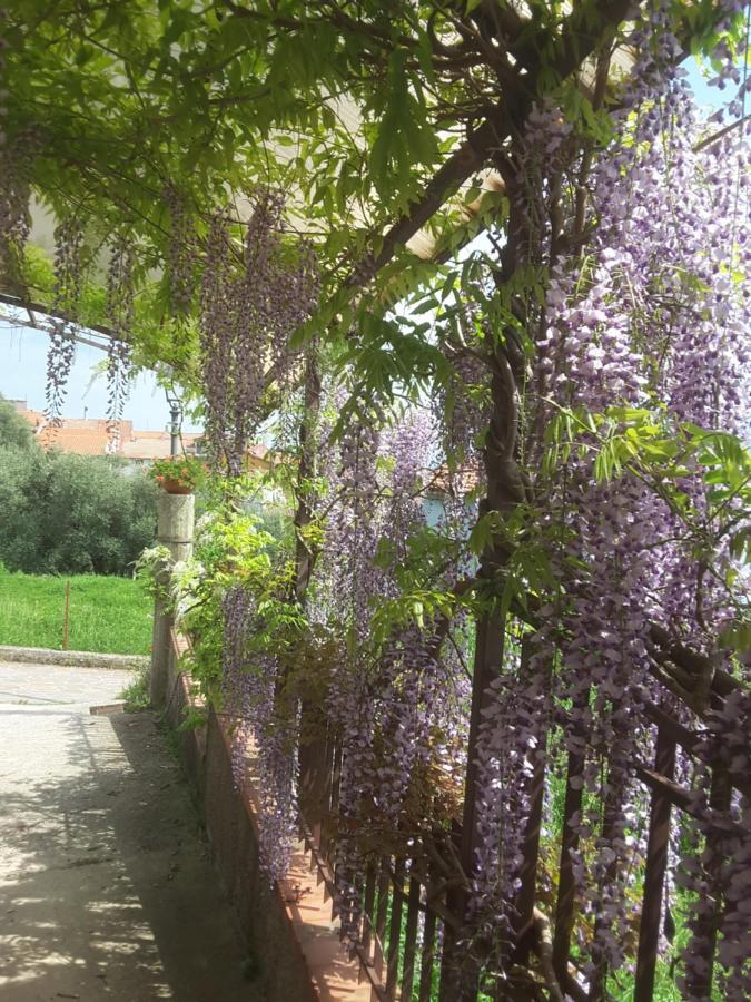 Mansarda Fiorita Bed & Breakfast Abatemarco ภายนอก รูปภาพ