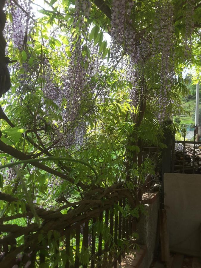 Mansarda Fiorita Bed & Breakfast Abatemarco ภายนอก รูปภาพ
