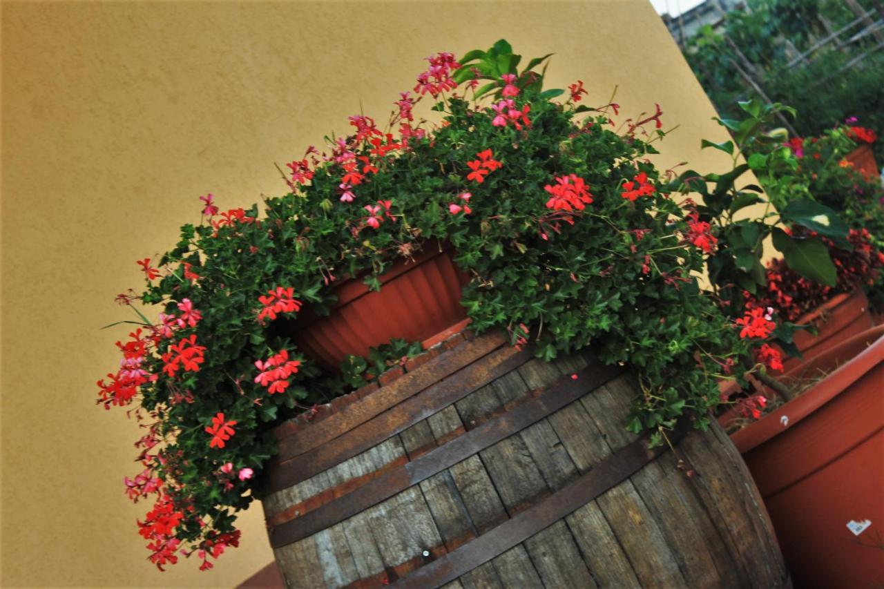 Mansarda Fiorita Bed & Breakfast Abatemarco ภายนอก รูปภาพ